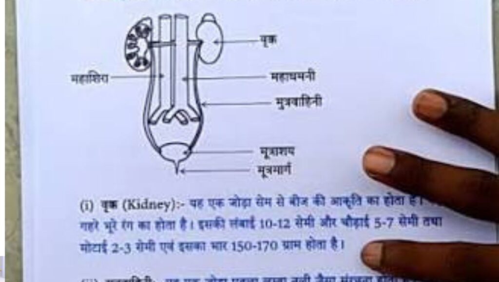 CBSE Class 10 Biology 2026