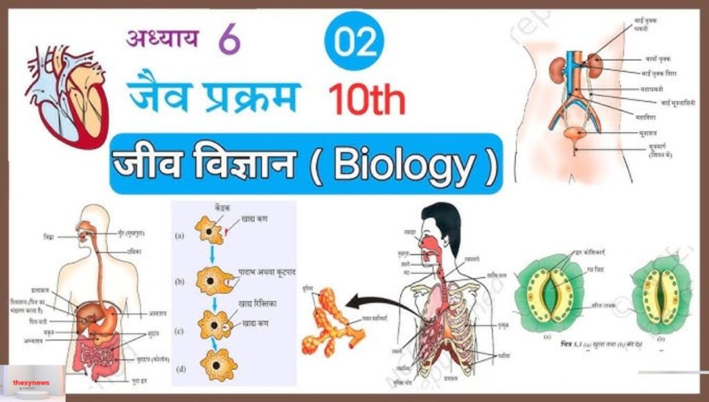 CBSE Class 10 Biology 2026
