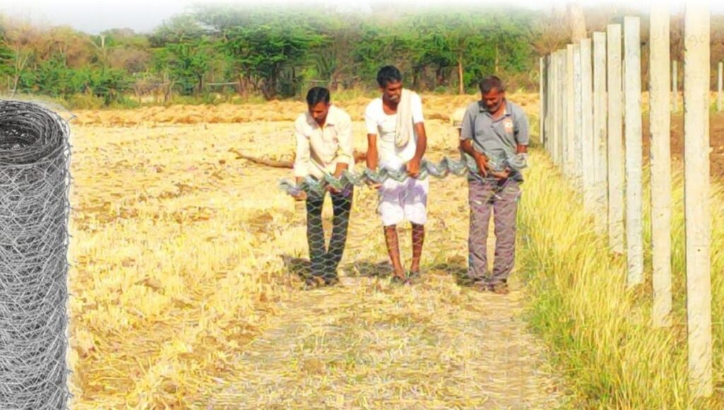 Free Tarbandi Scheme 2025