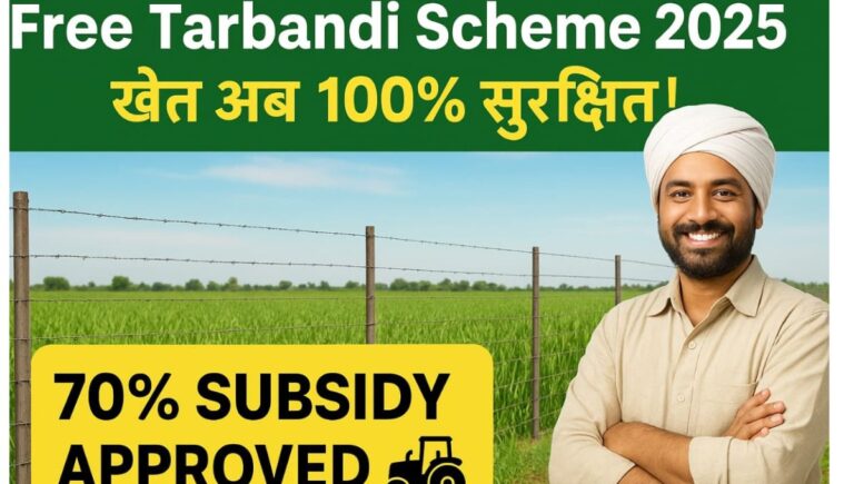 Free Tarbandi Scheme 2025